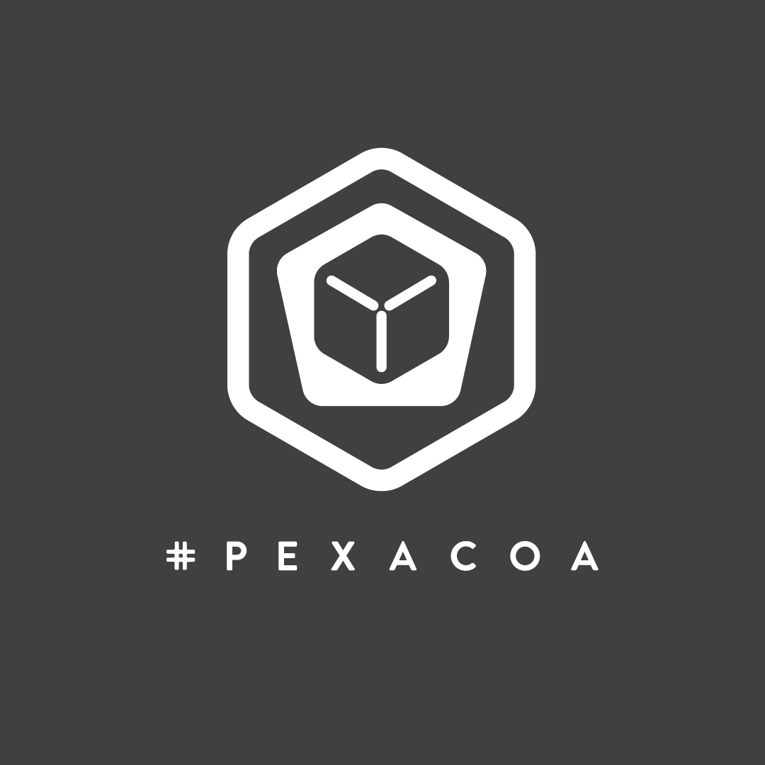 #PEXACOA　(2)